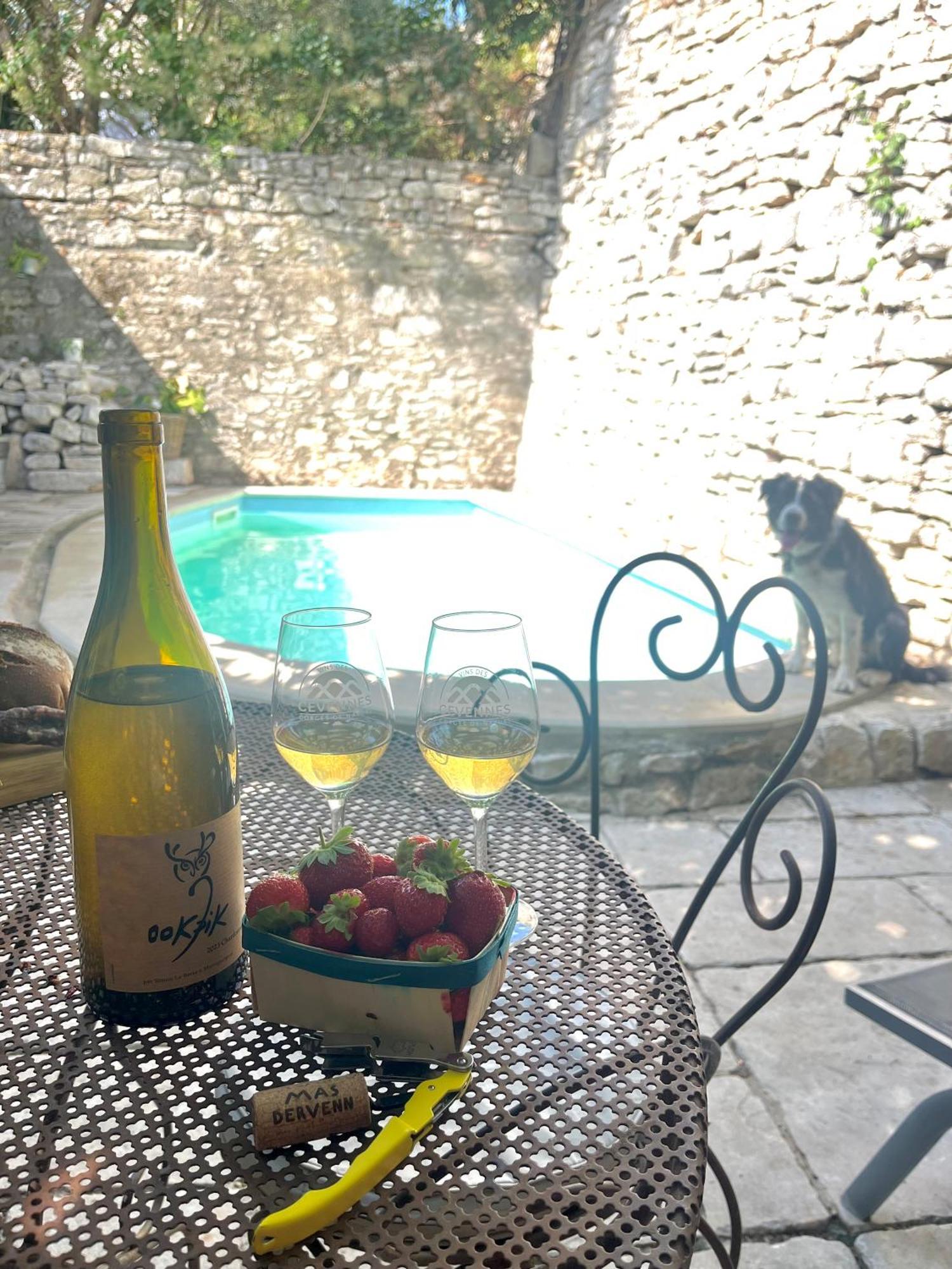 Maison Du Vigneron Vezenobres Екстер'єр фото